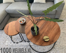 Salontafel set van 3 Stijlvol Rond Teak Trio