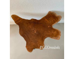 Teak houten salon tafel boomstam / wortel schijf